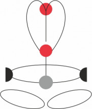 Привязь огнеупорная страховочная FRX, CAMP